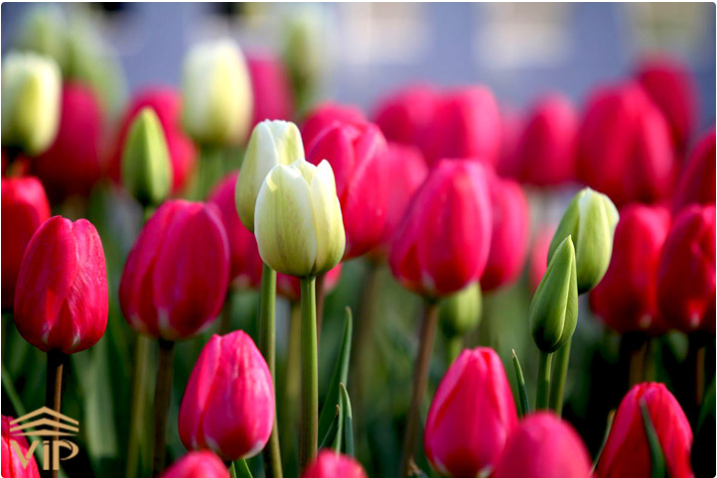 Screenshot 2025-06-27 232847